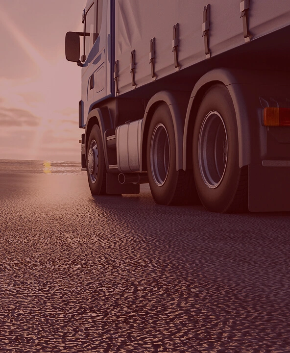 Sitio web de Totalflex